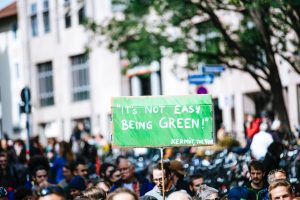 it's not easy being green - net zero
